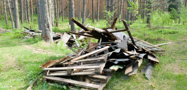 Debris Removal Service in Lehigh Acres