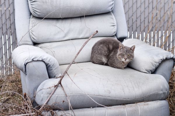 Recliner Disposal in Lehigh Acres